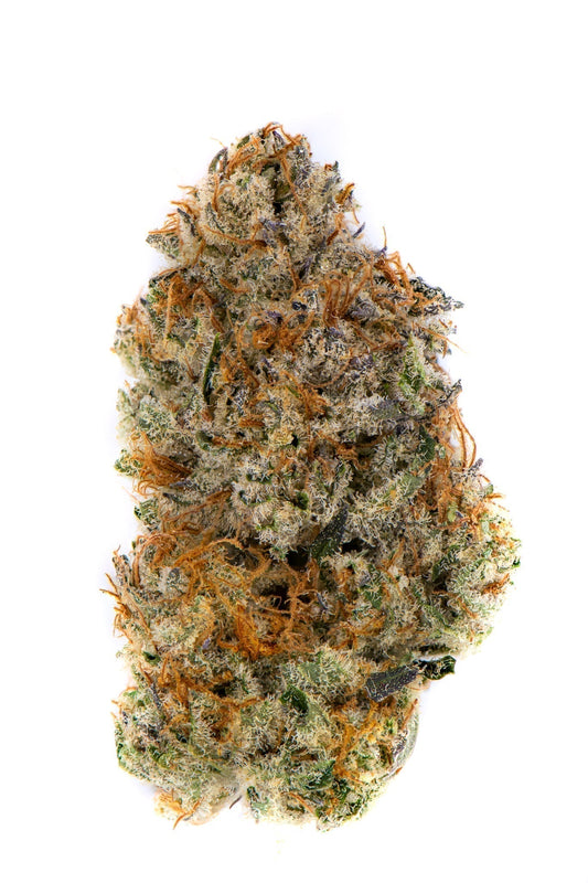 Paradise OG